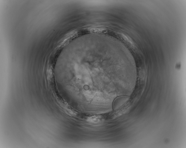 X0000090490761200707272340