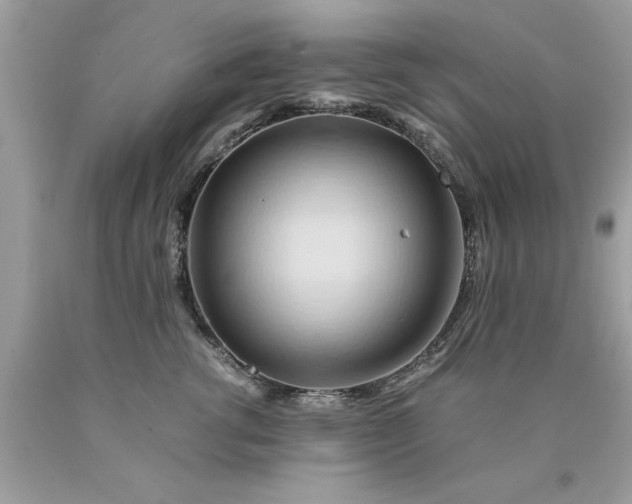 X0000090490762200707272340
