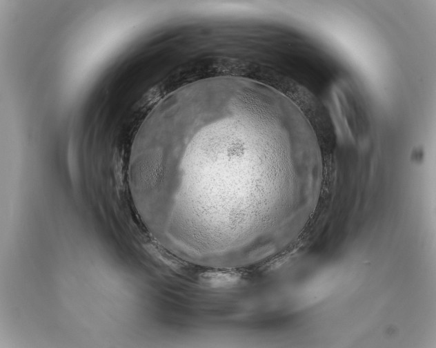 X0000090490765200707272340