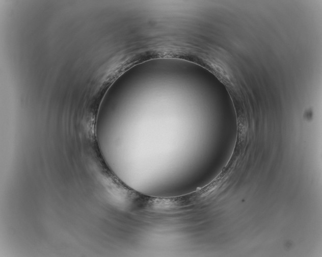 X0000090490766200707272340