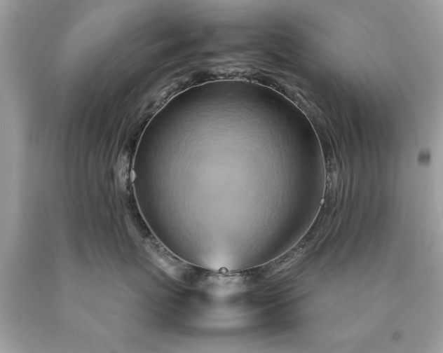X0000090490767200707272340