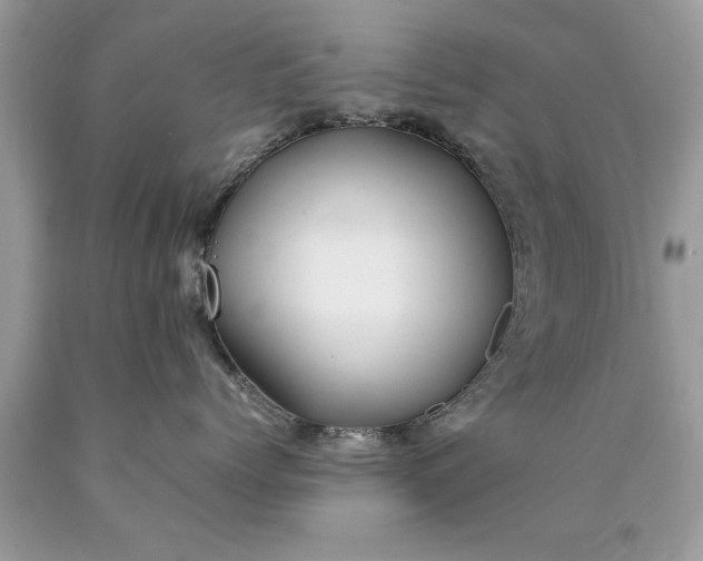X0000090490768200707272340
