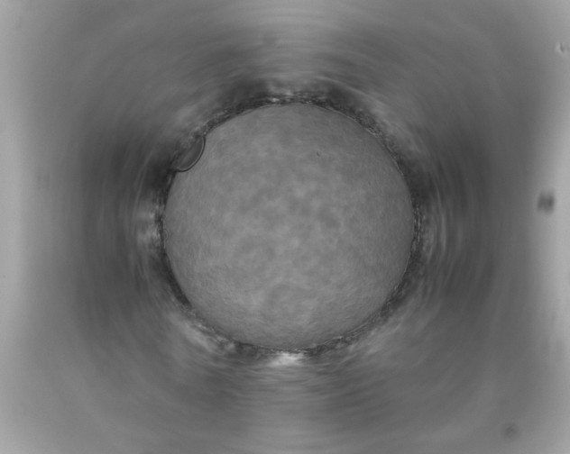 X0000090490770200707272339