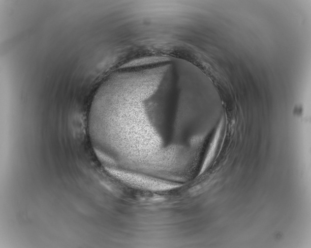 X0000090490772200707272339