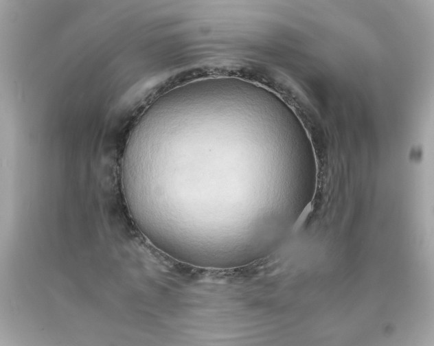X0000090490773200707272339