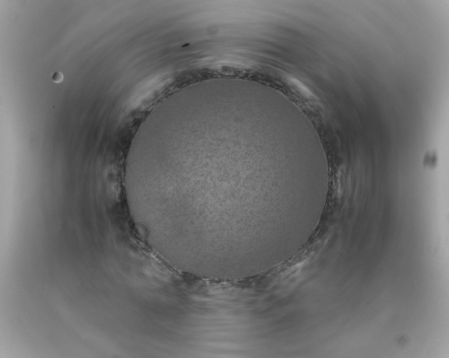 X0000090490774200707272339
