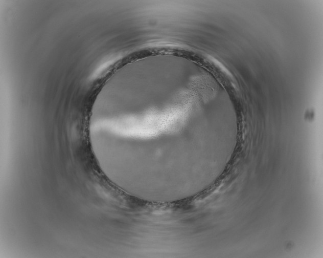 X0000090490775200707272339