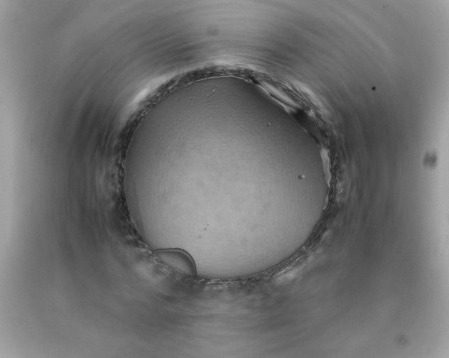 X0000090490776200707272339