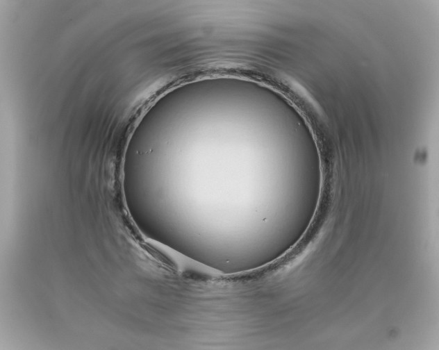X0000090490777200707272339