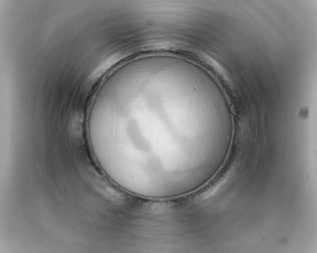 X0000090490778200707272339