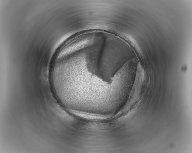 X0000090490780200707272339