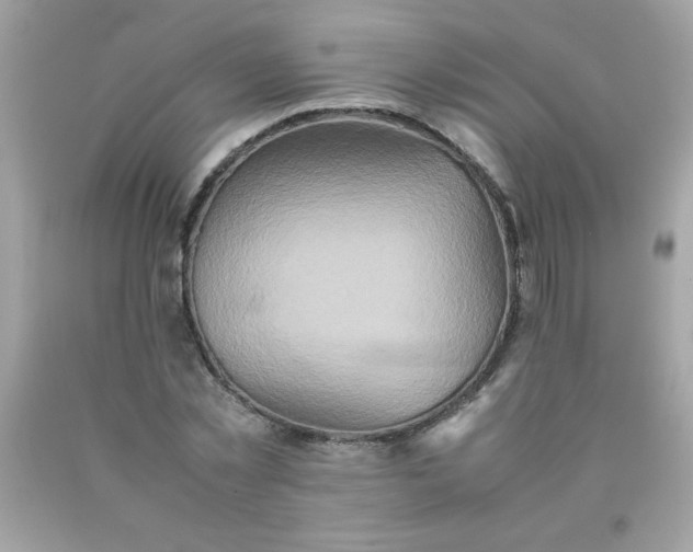X0000090490781200707272339