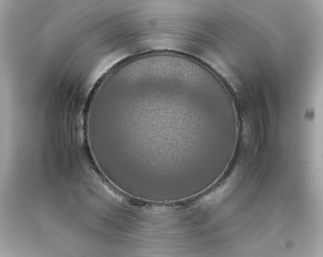 X0000090490782200707272339