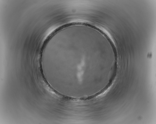 X0000090490783200707272339