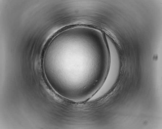 X0000090490784200707272339