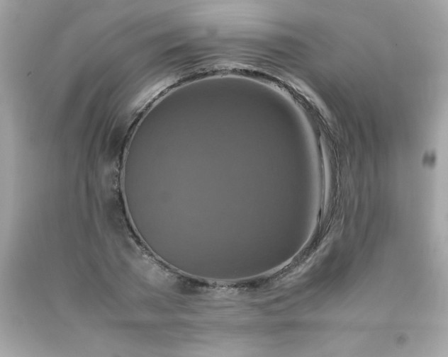 X0000090490785200707272339