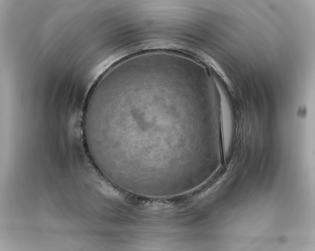 X0000090490786200707272339