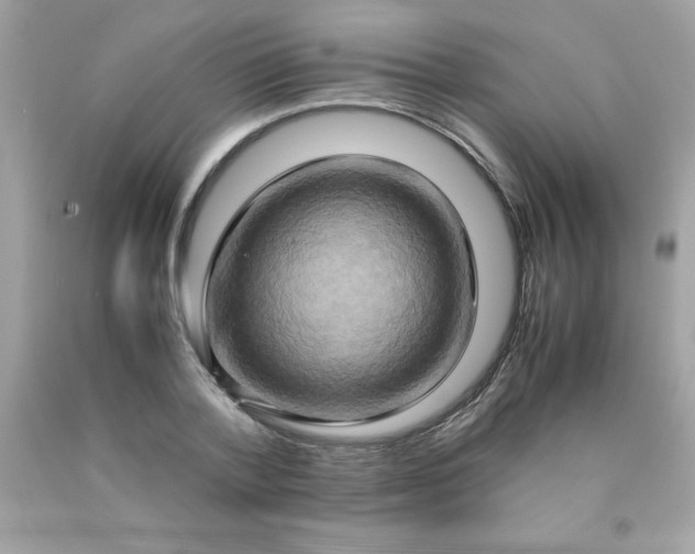 X0000090490788200707272339