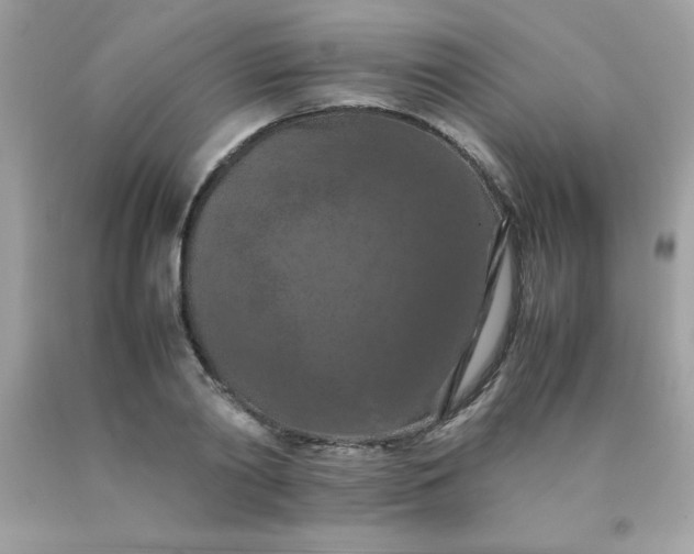 X0000090490790200707272339