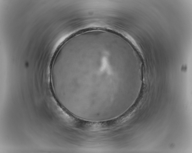 X0000090490791200707272339