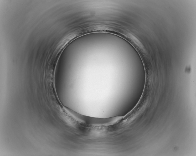 X0000090490793200707272339
