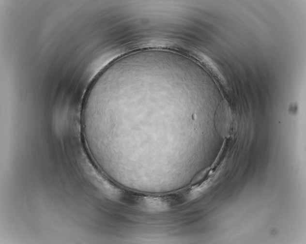 X0000090490794200707272339