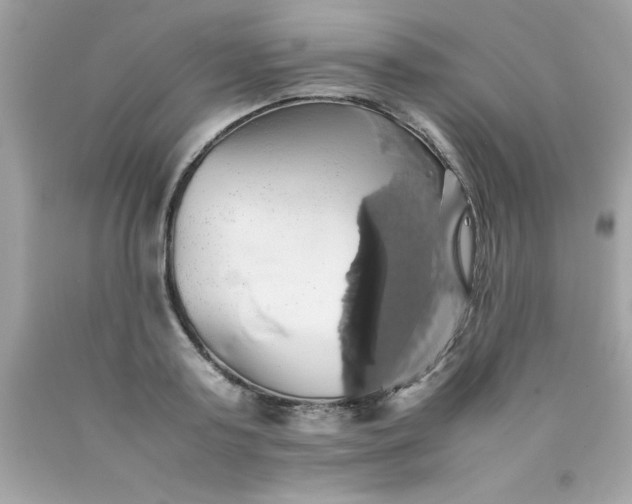 X0000090490795200707272339