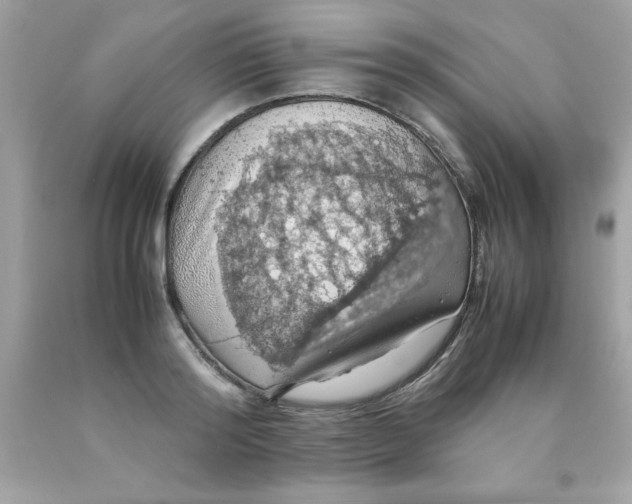 X0000090490796200707272339