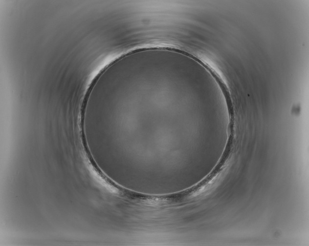 X0000090490797200707272339