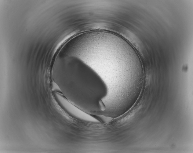 X0000090490798200707272339