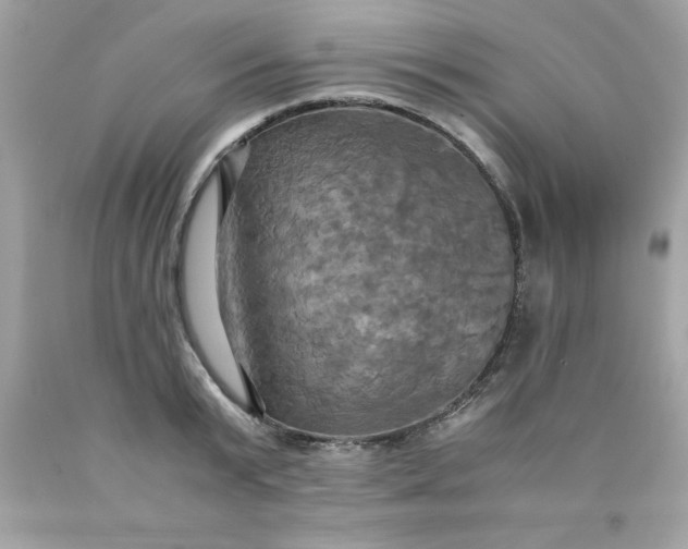 X0000090490799200707272339