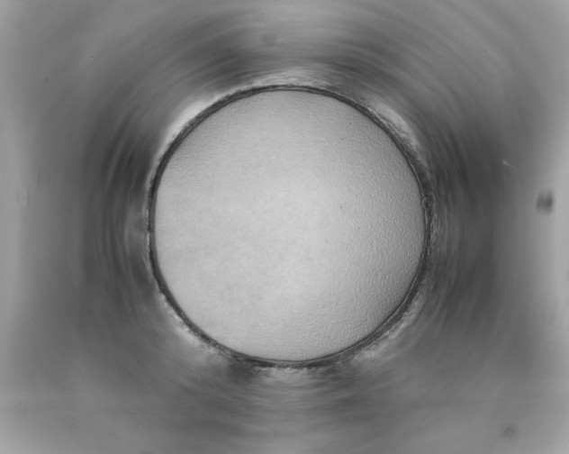 X0000090490800200707272339