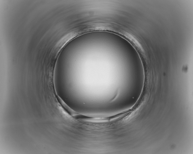 X0000090490801200707272339