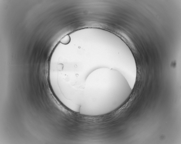 X0000090490804200707272339