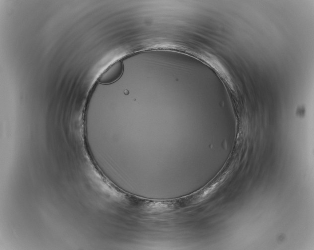 X0000090490806200707272339