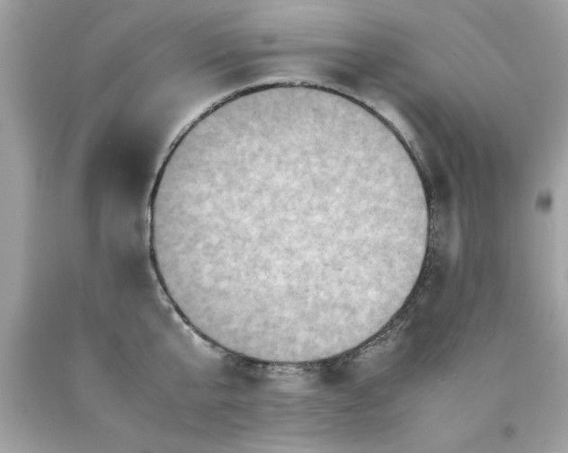 X0000090490807200707272339