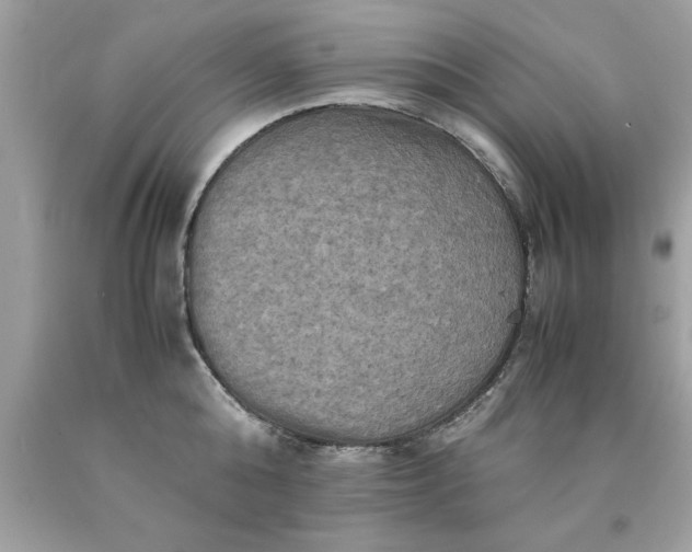 X0000090490808200707272339