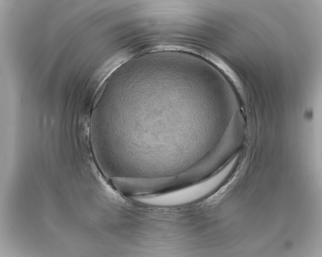 X0000090490809200707272339