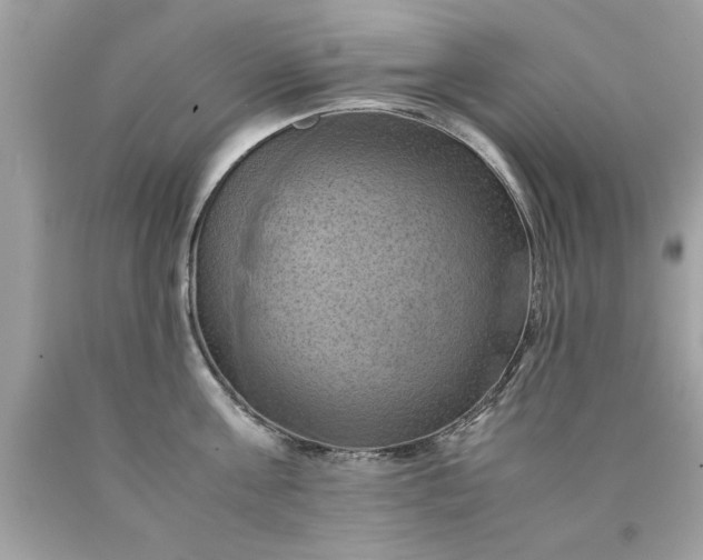 X0000090490811200707272339