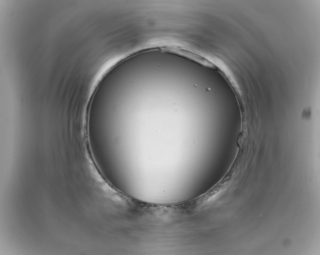 X0000090490815200707272339