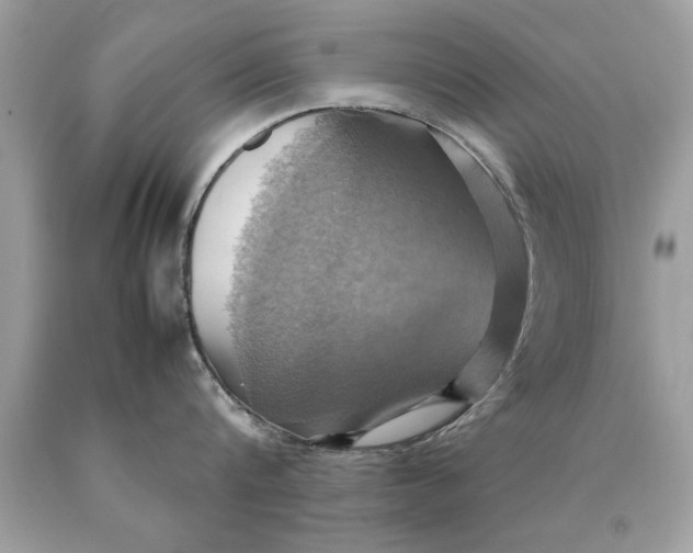 X0000090490816200707272339