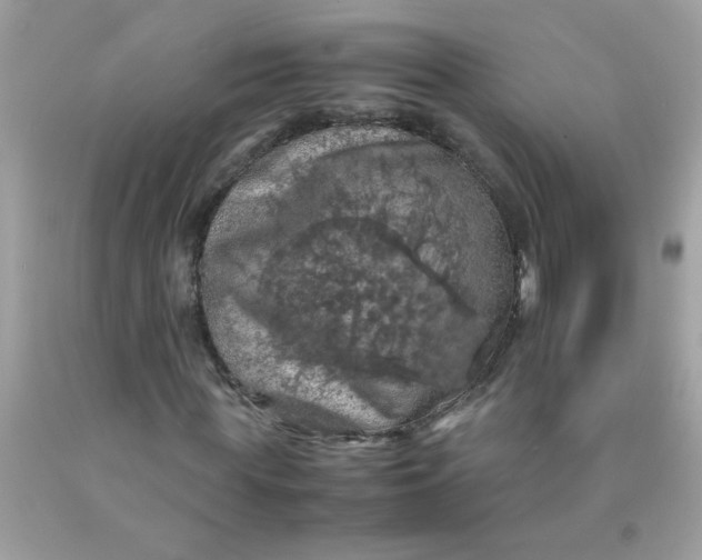 X0000090490819200707272338