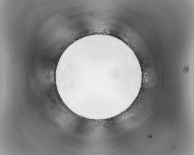 X0000090490820200707272338