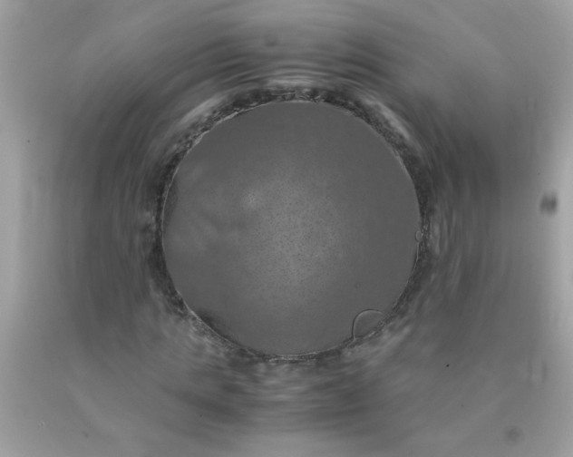 X0000090490821200707272338