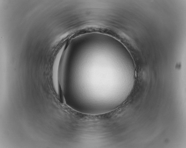 X0000090490822200707272338