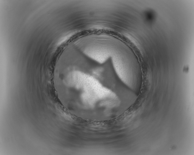 X0000090490823200707272338