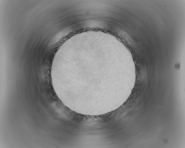 X0000090490824200707272338