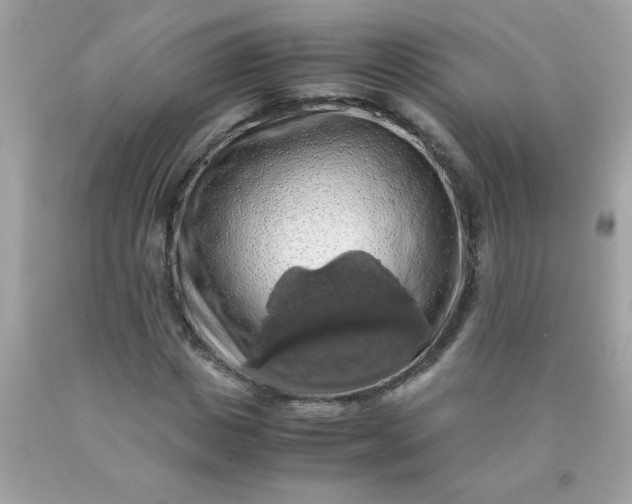 X0000090490825200707272338