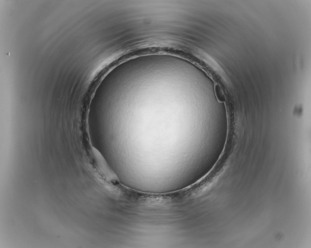 X0000090490826200707272338