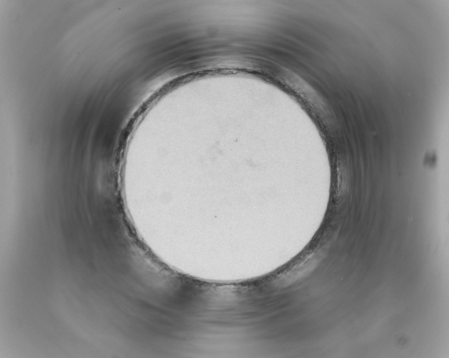 X0000090490828200707272338